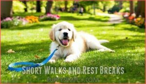 short walks and rest breaks