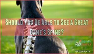should you be able to see a great dane’s spine