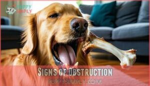 signs of obstruction