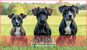size range