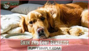 skin and coat benefits