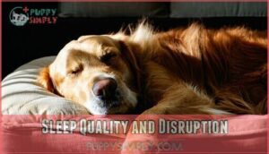 sleep quality and disruption