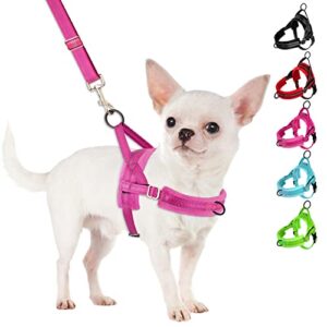 SlowTon No Pull Small Dog B07RZ2QPM3