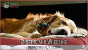 snoring and wheezing