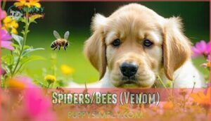 spiders/bees (venom)
