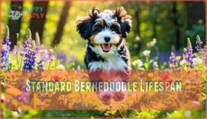 standard bernedoodle lifespan