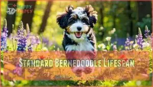 standard bernedoodle lifespan standard bernedoodle lifespan