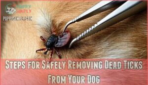 steps for safely removing dead ticks from your dog