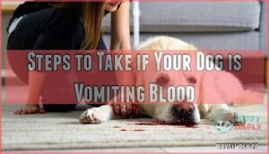 steps to take if your dog is vomiting blood