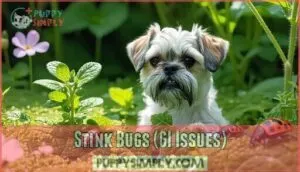 stink bugs (gi issues)