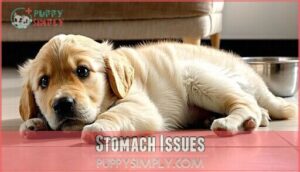 stomach issues