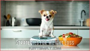 strategies for weight loss