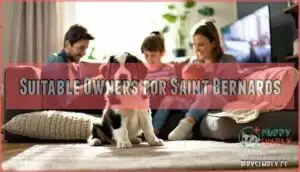 suitable owners for saint bernards