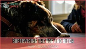 supervising the dog and bitch