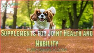 supplements for joint health and mobility