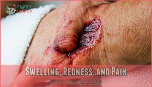 swelling, redness, and pain