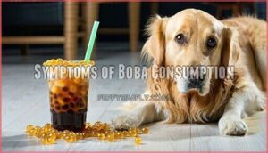 symptoms of boba consumption