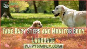 take baby steps and monitor body language