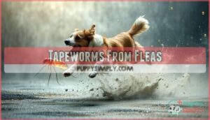 tapeworms from fleas