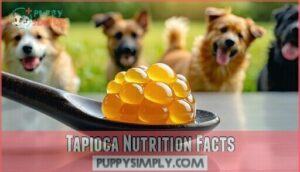 tapioca nutrition facts