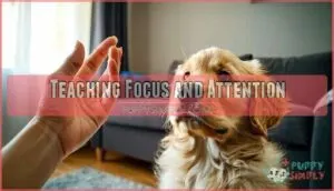 teaching focus and attention