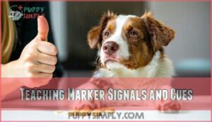 teaching marker signals and cues