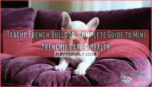teacup french bulldog