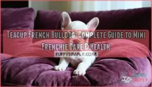 teacup french bulldog