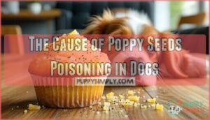 the cause of poppy seeds poisoning in dogs