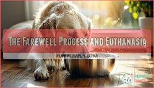 the farewell process and euthanasia