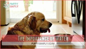 the importance of water