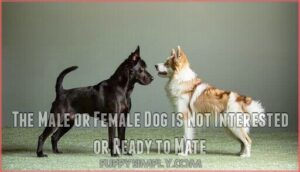 the male or female dog is not interested or ready to mate