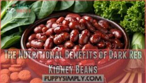 the nutritional benefits of dark red kidney beans