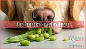 the perfect healthy treat
