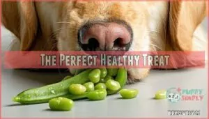 the perfect healthy treat
