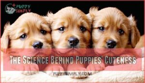 the science behind puppies' cuteness