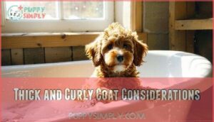 thick and curly coat considerations