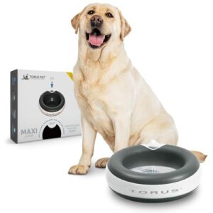Torus Pet MAXI Filtered Water B017NQZKVW