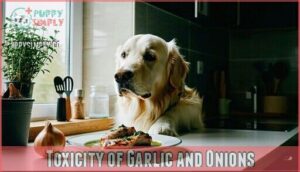 toxicity of garlic and onions