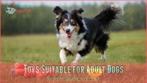 toys suitable for adult dogs