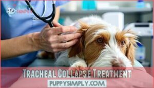 tracheal collapse treatment