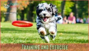training and exercise