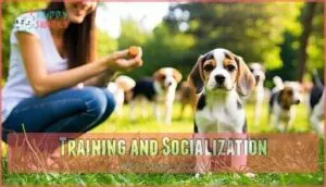 training and socialization