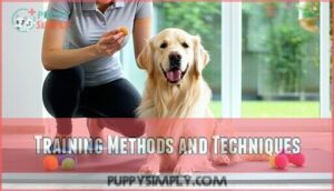 training methods and techniques