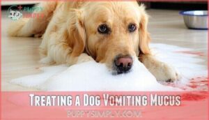 treating a dog vomiting mucus