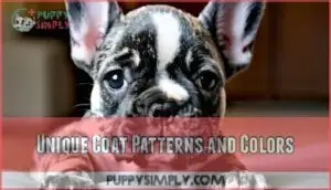 unique coat patterns and colors