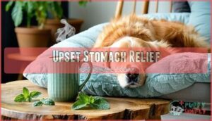 upset stomach relief