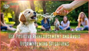 use positive reinforcement and avoid overwhelming situations