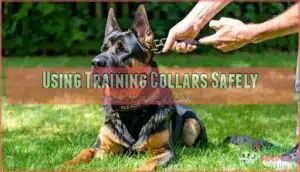 using training collars safely