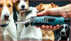 various speeds
